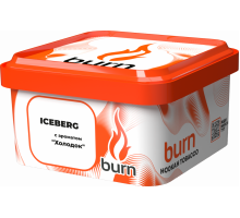 Табак Burn Iceberg - 200 гр