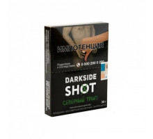 Табак для кальяна Darkside Shot Северный трип - 30 гр